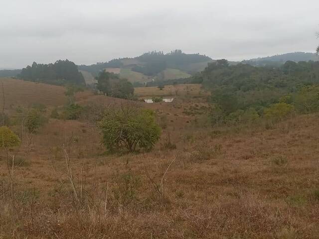 #12 - Sítio para Venda em Trombudo Central - SC - 1