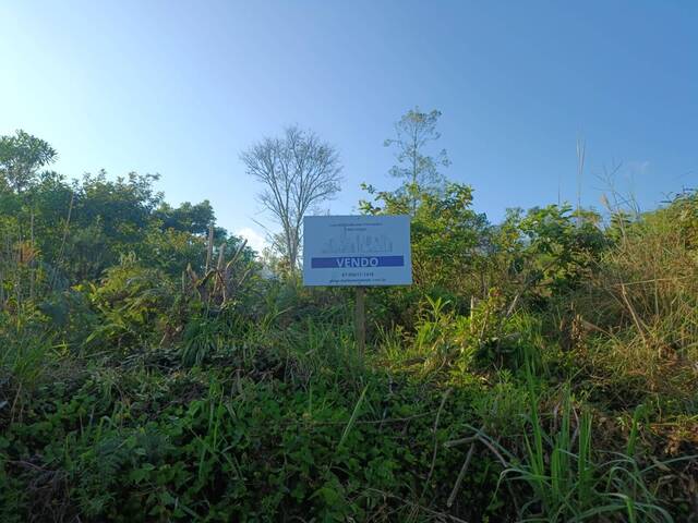 #19 - Área para Venda em Vitor Meireles - SC - 3