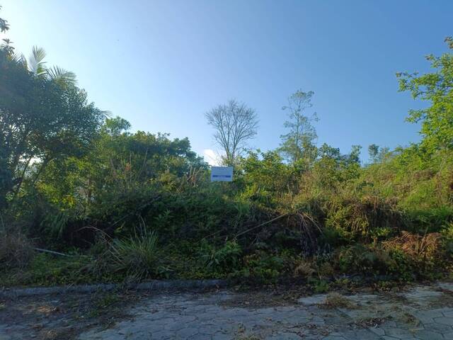 #19 - Área para Venda em Vitor Meireles - SC - 1