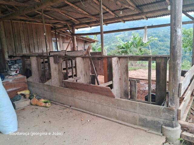 #24 - Chácara para Venda em Vitor Meireles - SC - 2